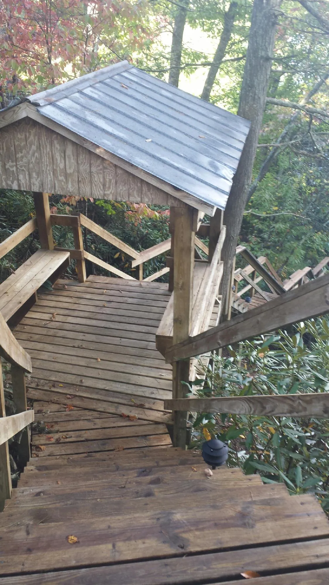 Metal roofed shelter over wooden steps on a wooded walkway — Skylight Repair & Installation work by our crew in Forest Grove
