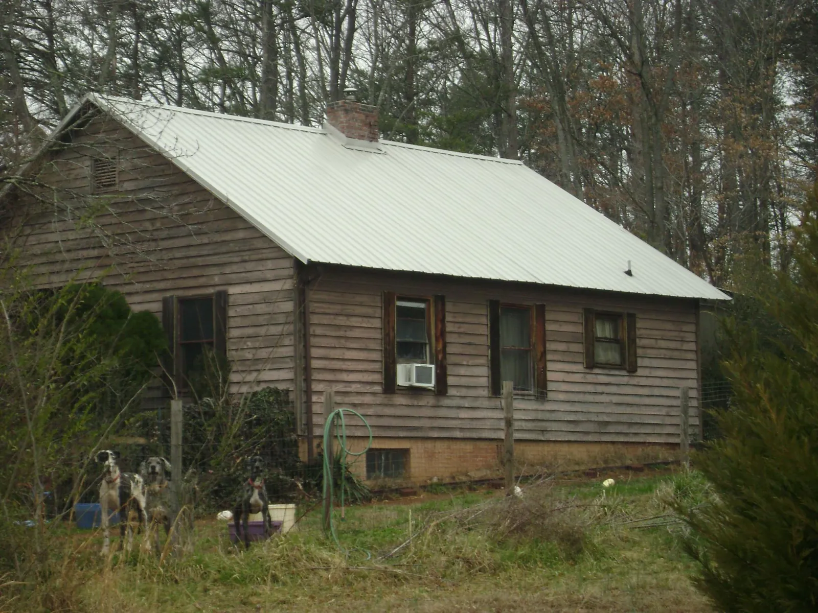 White metal roof on an old wood sided farmhouse, from a Asphalt Shingle Roof Repair job in Forest Grove